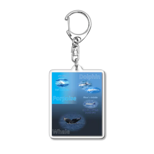 イルカとクジラの違い Acrylic Key Chain