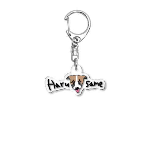 Haru🐶same👅 Acrylic Key Chain