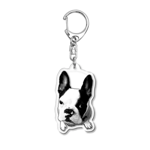 DOG-3 Acrylic Key Chain