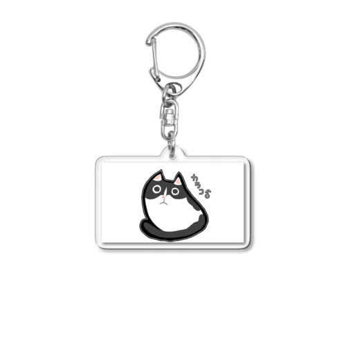 Karako key Acrylic Key Chain