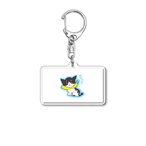 Nene key Acrylic Key Chain