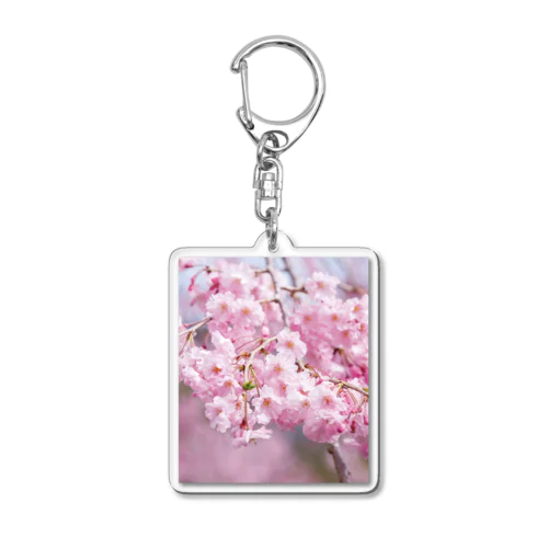 癒しの風景（八重桜） Acrylic Key Chain