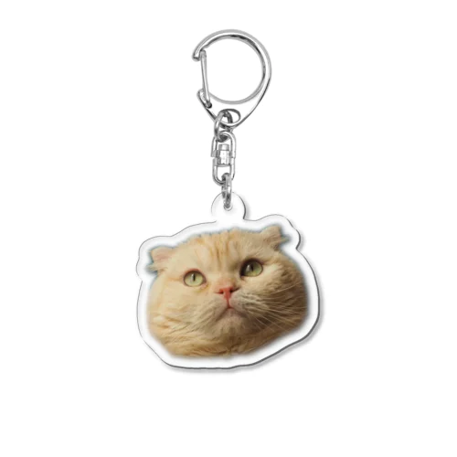 うちのねこはかわいい Acrylic Key Chain