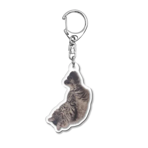 フォーリング・エビフライ・キャット(実写の猫) Acrylic Key Chain