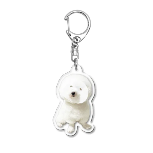 美容に目覚めた犬 Acrylic Key Chain