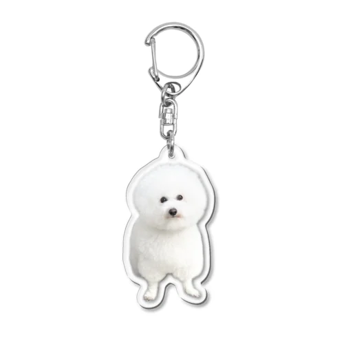 現在の犬 Acrylic Key Chain