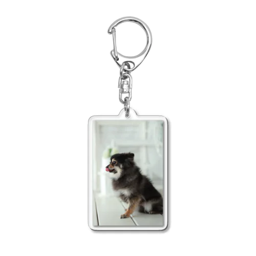 chakchak Acrylic Key Chain