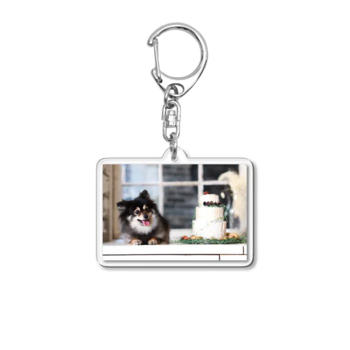 chakchak Acrylic Key Chain