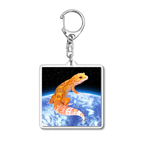 Leopa on the Earth Acrylic Key Chain