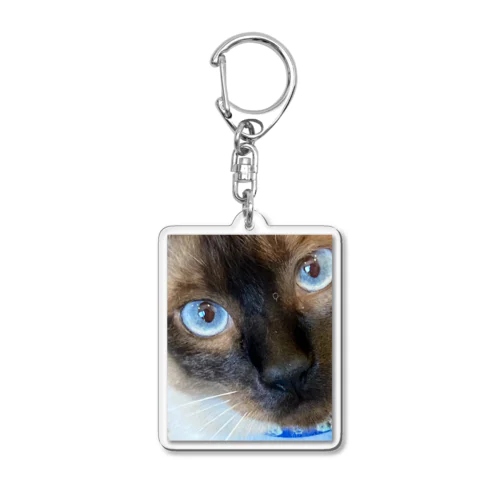 Macaちゃん Acrylic Key Chain