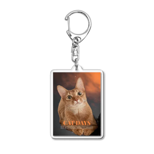 sunrise cat Acrylic Key Chain