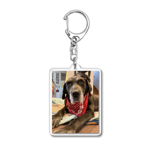 15th Acrylic Key Chain