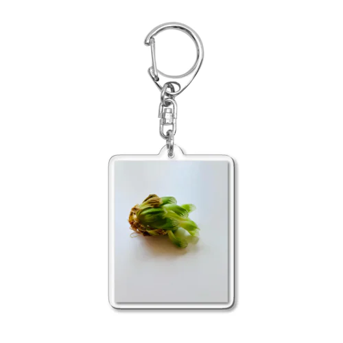 サバイバー多肉 Acrylic Key Chain