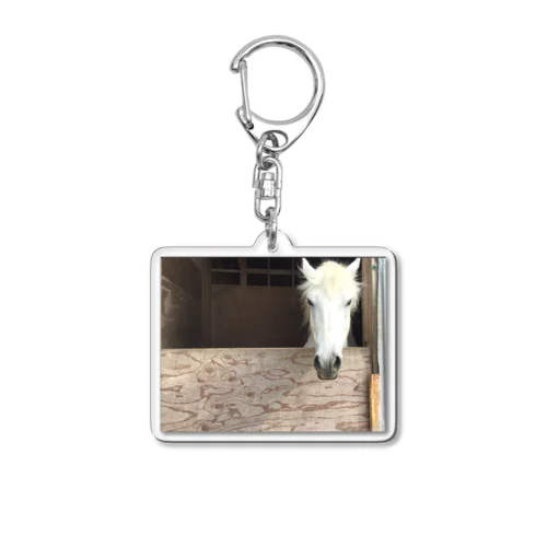 馬だよーん Acrylic Key Chain