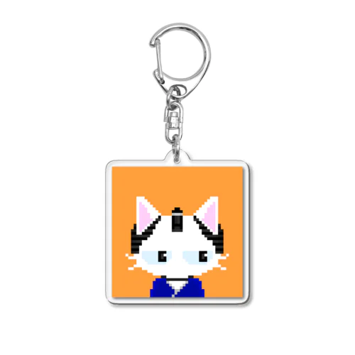 Grumpy kittens #029 Acrylic Key Chain