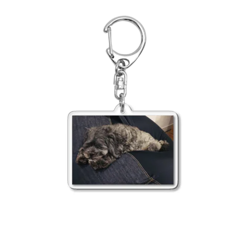 ダメになった犬 Acrylic Key Chain