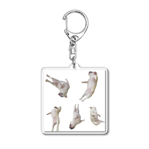 転がる犬 Acrylic Key Chain