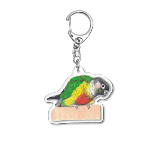 [森図鑑] ウロコインコA 前向き Acrylic Key Chain