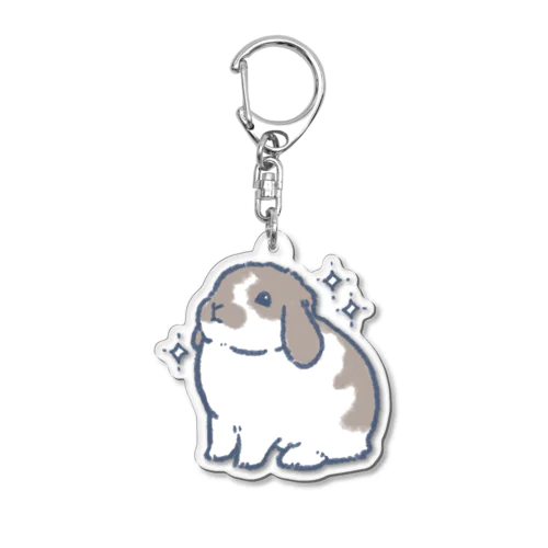 フフンL Acrylic Key Chain