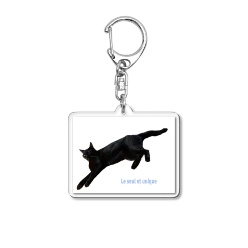 きょうの黒猫 Acrylic Key Chain