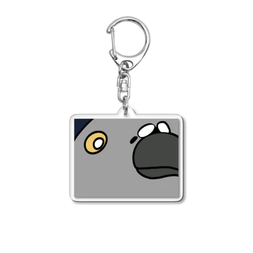 ハトくん Acrylic Key Chain