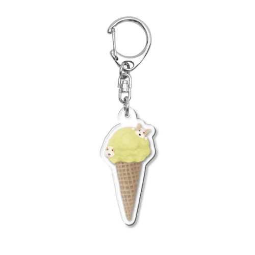 pistàcchio innu Acrylic Key Chain