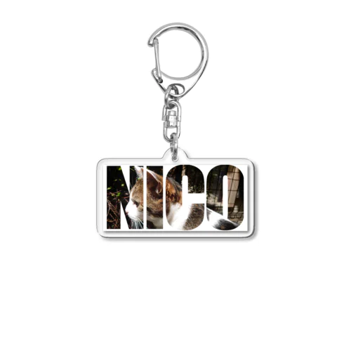 ネコヅカイ03 Acrylic Key Chain