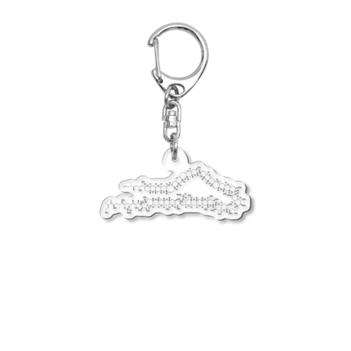 マイトトキシン構造式 Acrylic Key Chain