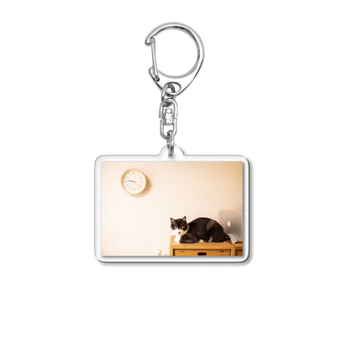 疑問持つ猫グッズ Acrylic Key Chain