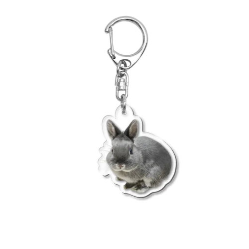 うさぎのぼんちゃん Acrylic Key Chain