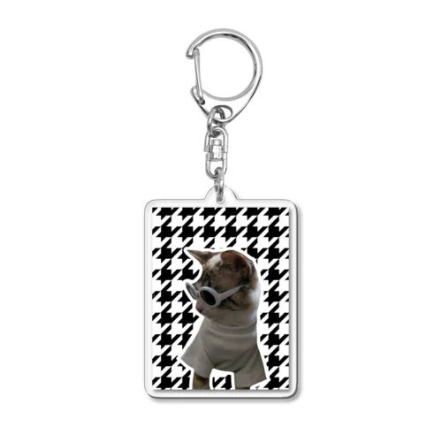 Cat Acrylic Key Chain