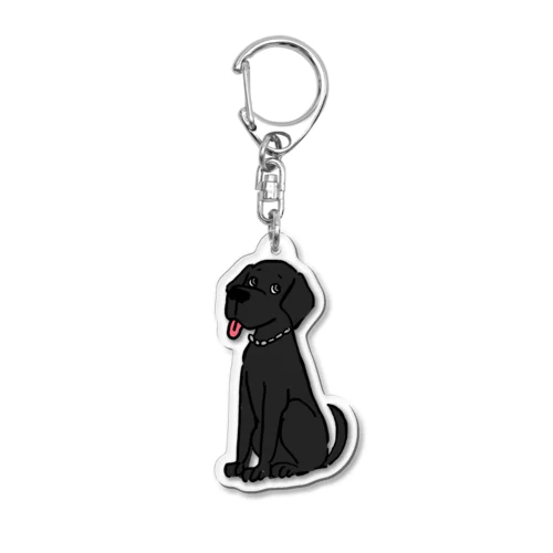 Blacklab🐕‍🦺 Acrylic Key Chain