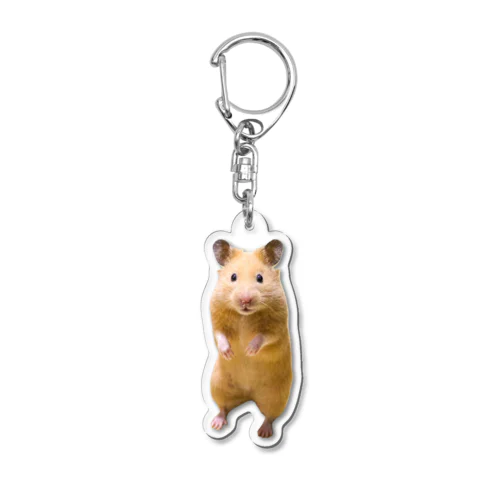 キンクマハムスターのめんち Acrylic Key Chain