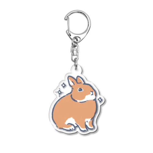 フフンR Acrylic Key Chain