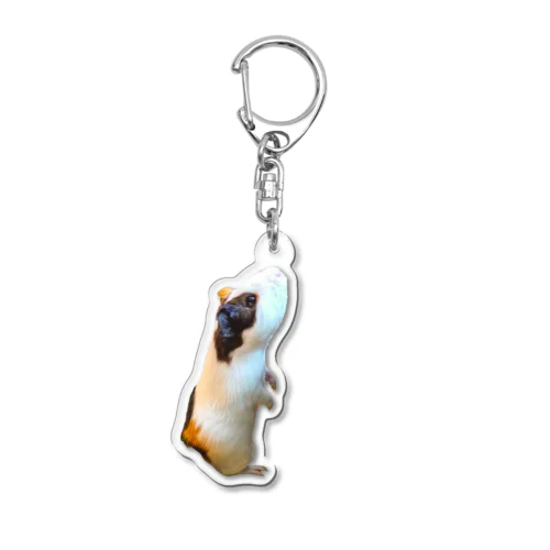 イングリッシュモルモットのさすけ Acrylic Key Chain