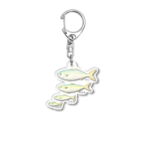 ブリの成長イラスト！ワカシ→イナダ→ワラサ→ブリ Acrylic Key Chain