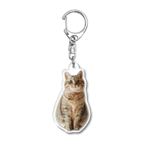 まんまるまるぴ Acrylic Key Chain