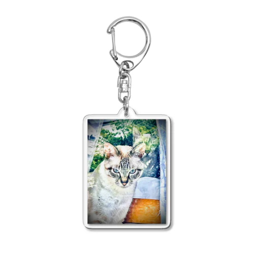 保護猫のカムイ君 Acrylic Key Chain