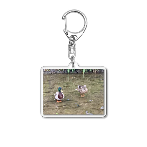 鴨川の鴨 Acrylic Key Chain