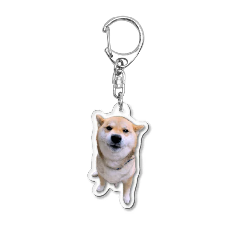 王道柴犬 Acrylic Key Chain