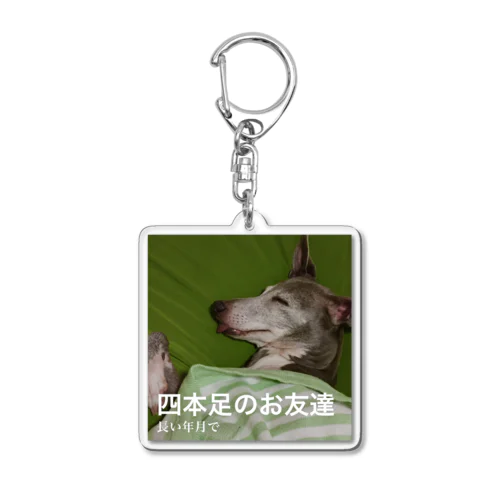 四本足のお友達 Acrylic Key Chain