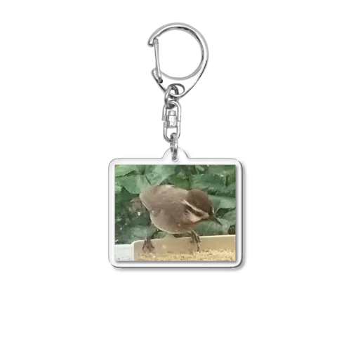 野鳥さん Acrylic Key Chain