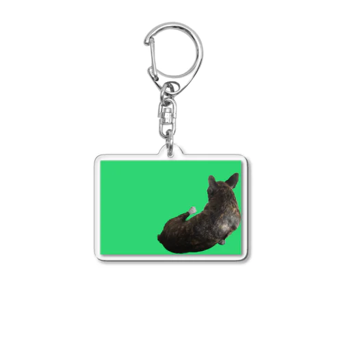 ルーシーマイヤー／LUCY MEYER Acrylic Key Chain