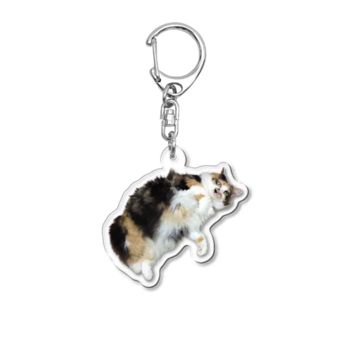 たわわでぽよーんなヘムヘム Acrylic Key Chain