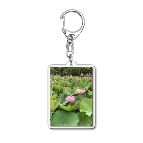 蓮の花です Acrylic Key Chain