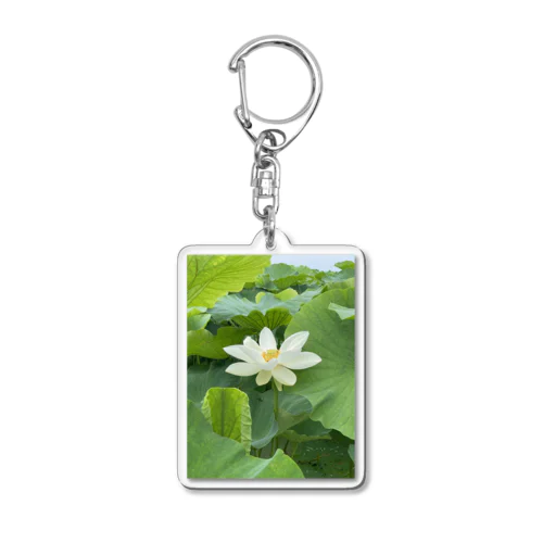 レンコンの花 Acrylic Key Chain