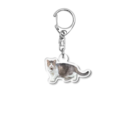 造形のおかしい猫 Acrylic Key Chain