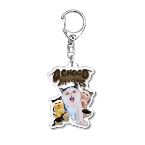 OCHOCO ROCK Acrylic Key Chain