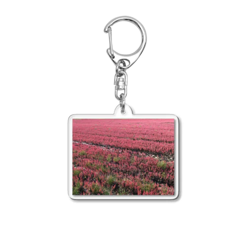 サンゴ草アクリルキーホルダー Acrylic Key Chain