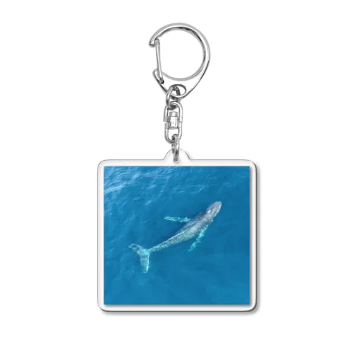 手のひらアクアリウム Acrylic Key Chain